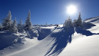 Туры на Драгобрат из Одессы