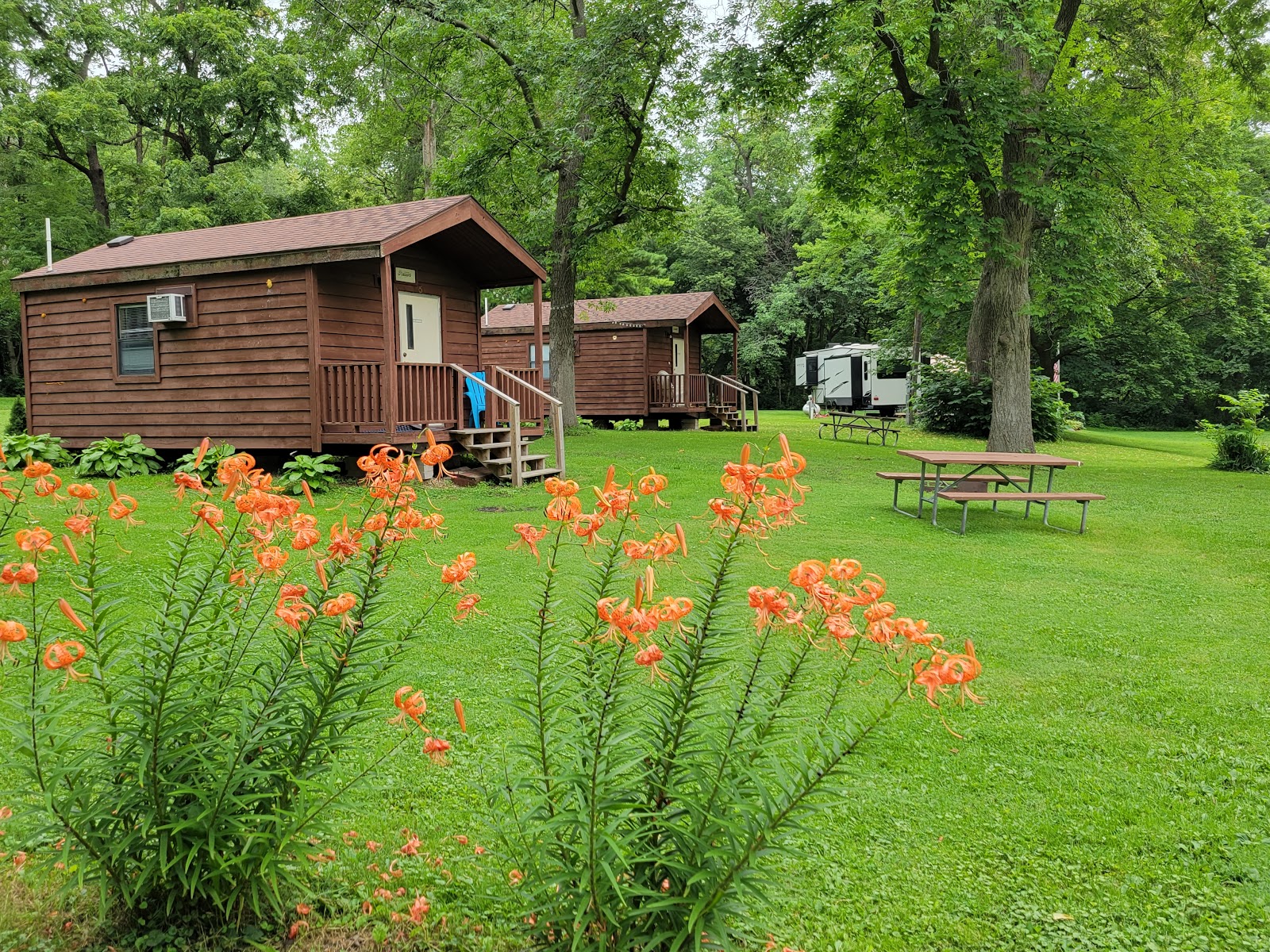 Hickory Grove Campground AND RV PARK