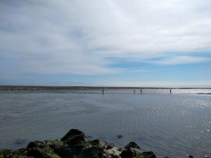 Baie de l'Authie