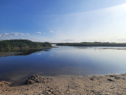 База відпочинку "Лісова пісня"