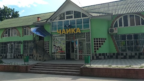 Чайка