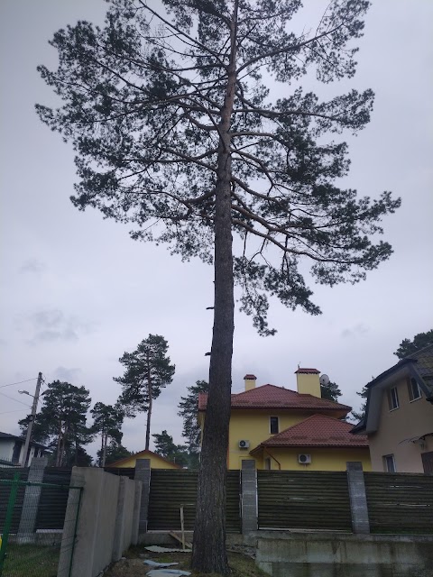 Дитячий Майданчик на вул. Тінистій.