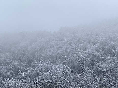 "Сонячна Гора" Готель, Суши-Ресторан