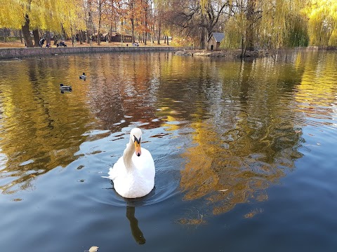 Озеро (місце відпочинку)