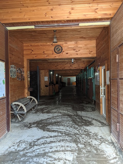 BAYKOV resort&horses club