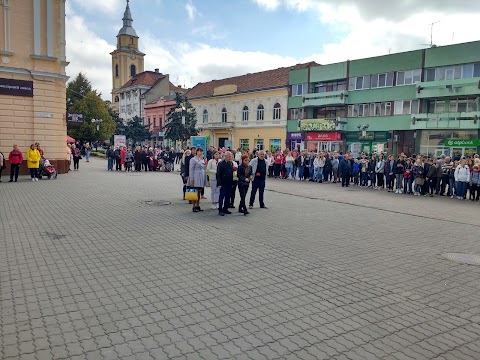 Берегівський ліцей "Платан"