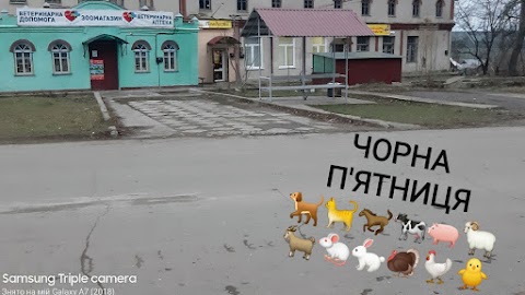 Ветеринарна Амбулаторія ,,БІЛЕ ІКЛО,,