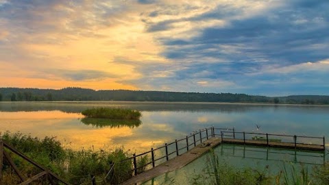 рыбное хозяйство, карпы кои Украина