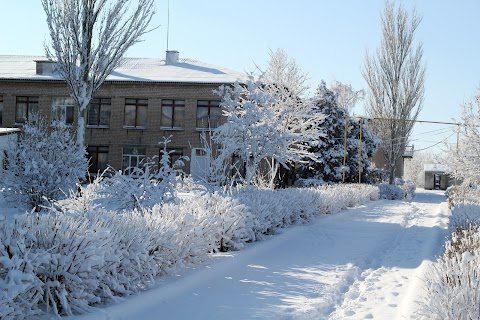 Светлогорская средняя школа