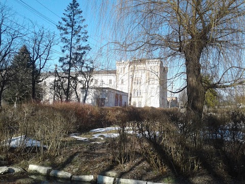 Обласна психіатрична лікарня Миколаївського району