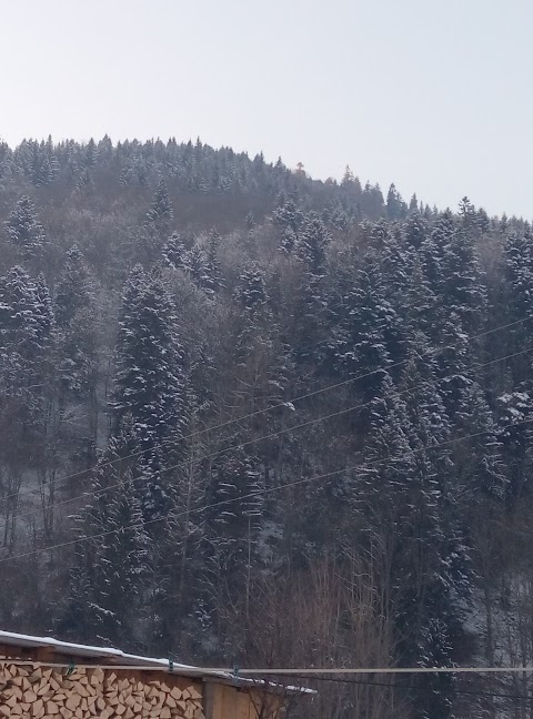 Приватна садиба "Щедрик"