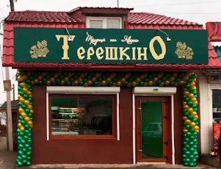 Терешкіно