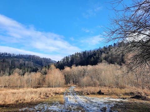 Національний природний парк "Вижницький"