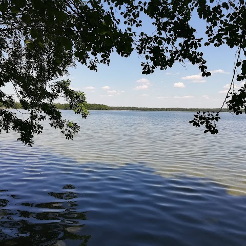 Пляж університецької бази