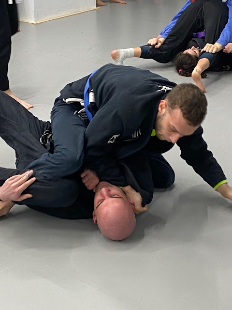 SEKCIJA brazilian jiu jitsu school