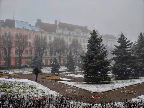 Буковинський державний медичний університет