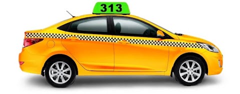 Taxi 313