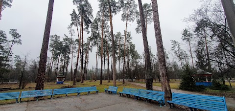 Творческий детский лагерь для отдыха в Киевской области «Движок-Хвиля»