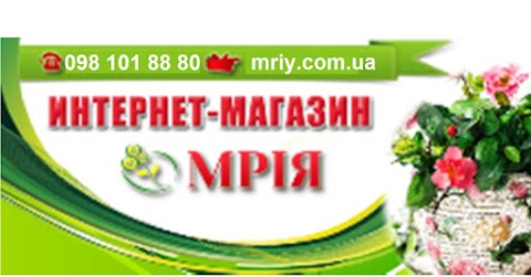 Мрія-Квіти