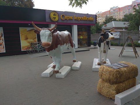 Сирне королівство