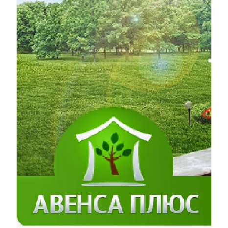 ТОВ АВЕНСА ПЛЮС