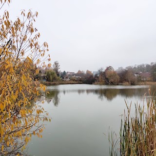 Лісове урочище Крістерів