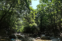 Unmunsan Recreational Forest, Cheongdo-gun, South Korea