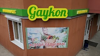 Gaykon