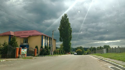 Іванковичівська дитяча школа мистецтв