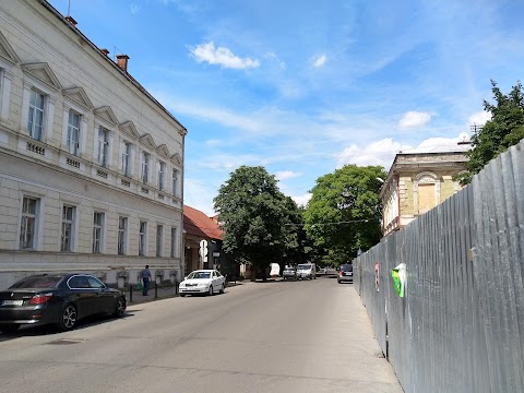 Комунальний заклад "Берегівський медичний фаховий коледж" Закарпатської обласної ради