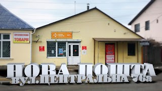 Нова Пошта. Вантажне відділення №1. Плесецьке