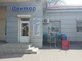 Вектор