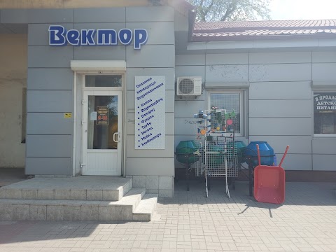 Вектор