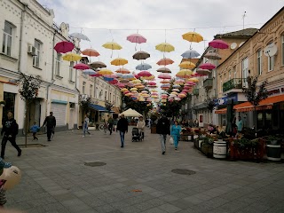 КЗ "Житомирський ОІППО" ЖОР