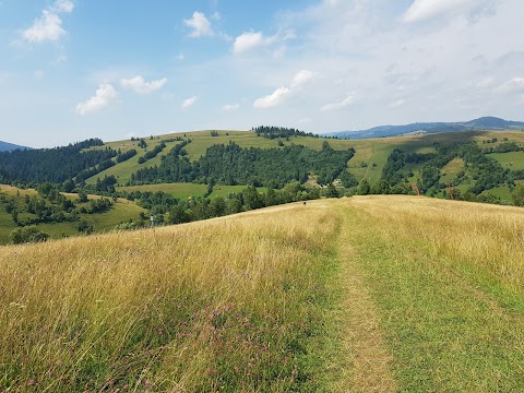 Дерев'яні будиночки, міні-готель