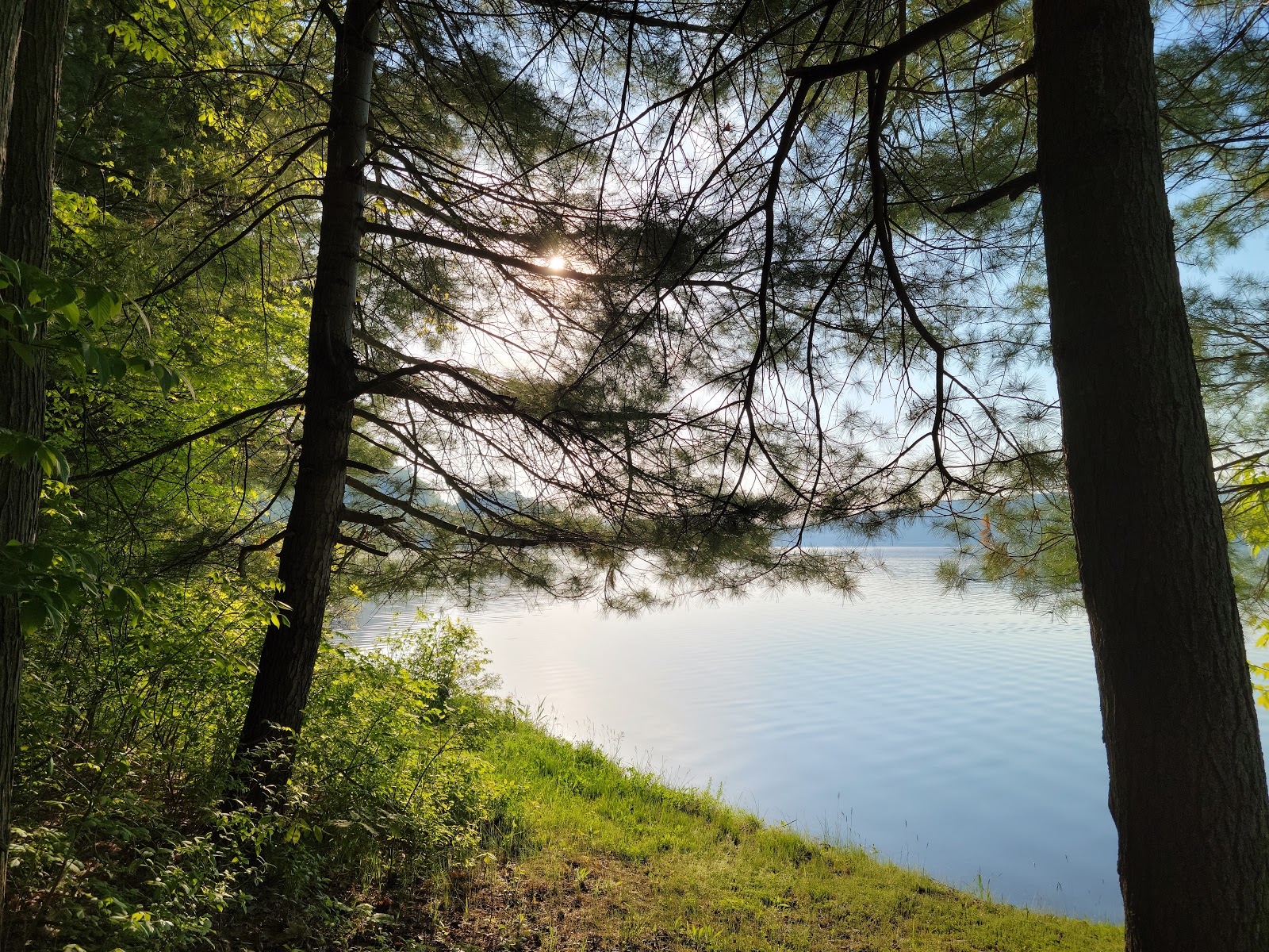 Cowanesque Lake - COE/Tompkins Rec Area