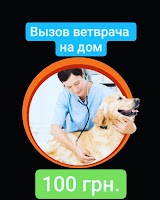 Ветеринарная клиника КотоПёс