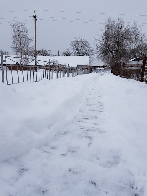 ДП ДГ ІСГ Північного Сходу НААН України