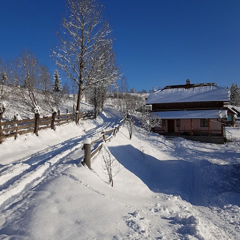 Cottage "Babusyn Dvir"