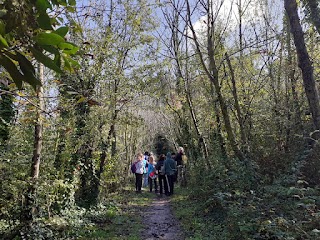 Circolo Parco Della Cellulosa Legambiente APS