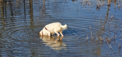 Parco dell'acqua