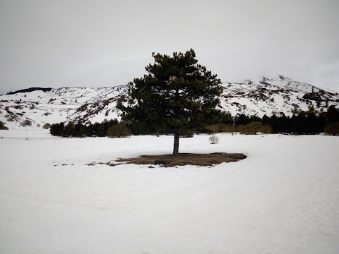 Scuola di Sci di fondo Etna - Belpasso