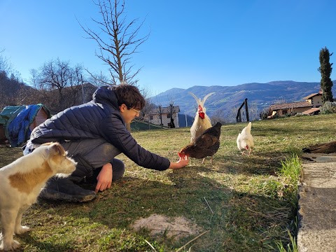 B&B Il Ciocco