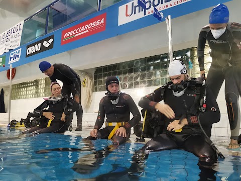 L'Aquila di Mare - Scuola Sub