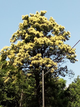 Sentiero Naturalistico Arian Dal Bigio, per Frassinetto