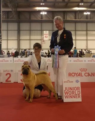 Allevamento Shar Pei della Valle di Bacco