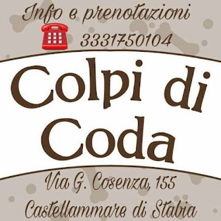 Colpi di Coda di Giovanni Cavaliere