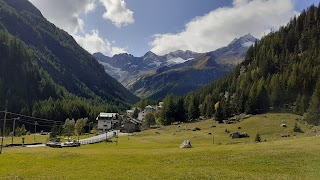 Parco delle marmotte