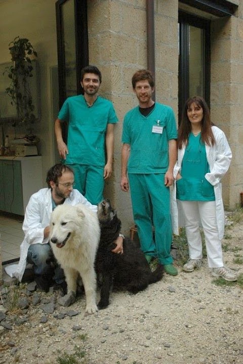 Clinica Veterinaria Della Tuscia