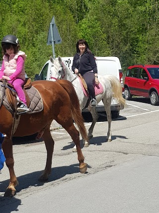 Equitrek dell'Appennino Asd